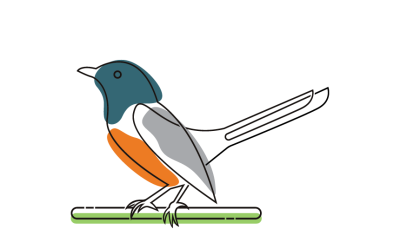 Bird On A Branch Logo Template