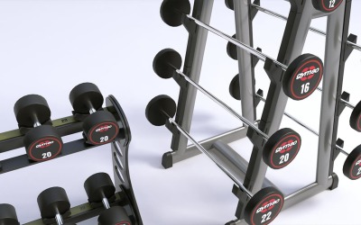 Supporto per manubri GYM80 modello 3D