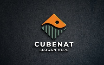 Geometric Nature Cube Logo