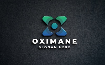 Abstract Letter X Professional Logo