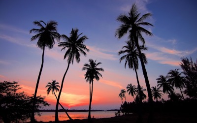 Sunset Mirage-Tropical Sunset