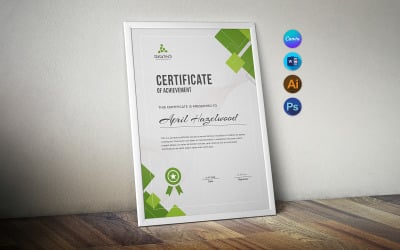 Professional Certificate Design, Instant Download, MS Word &amp;amp; Canva