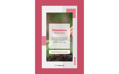 Instagram Stories Plantation Tips and Tricks