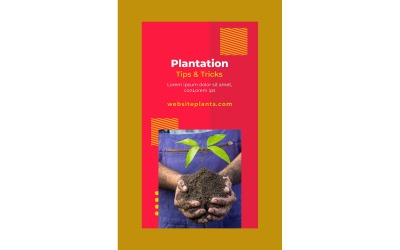 Historie na Instagramie Plantacja