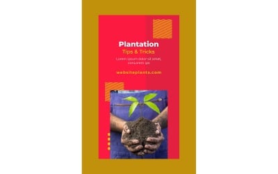 Instagram Stories Plantation