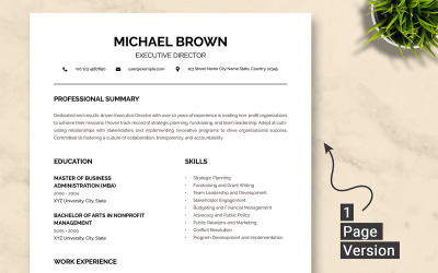 ATS Executive Director Resume Template