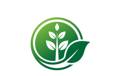 Green Leaf Logo Graphic Template