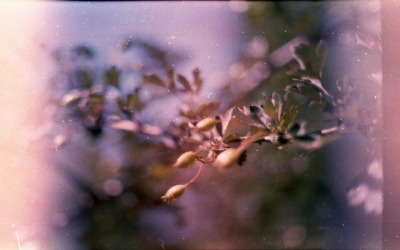Dreamy Energy-Upbeat Ambient