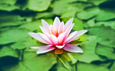 Meditative Meditation-Relaxing Music