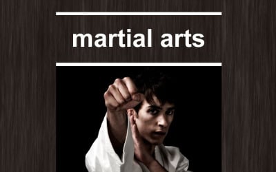 Modèle de Newsletter sensible aux arts martiaux