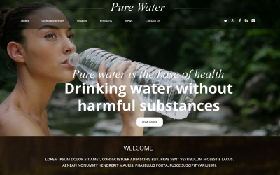 Reszponzív Pure Water Weboldal sablon 54887