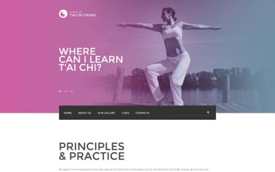 太极拳网站模板