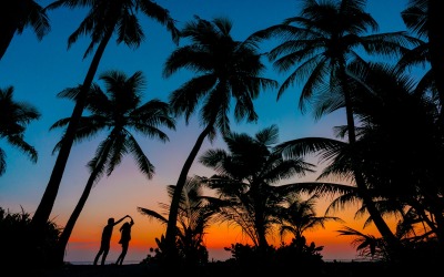 Tropical House - Danza estiva