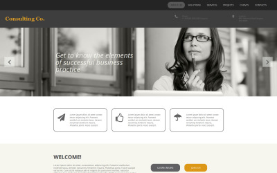 Consulting Responsive Moto CMS 3 Template