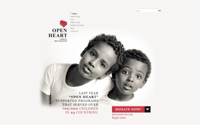 "World of Charity" Responsive WordPress thema №54940