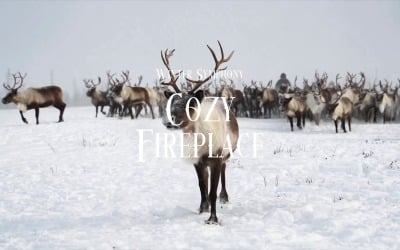 Furl The Maps / Winter Symphony