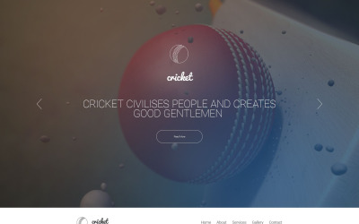 Modelo de site de críquete