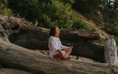 Forest Meditation-Relaxing Music