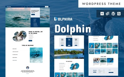 Dolphira - Шоу дельфінів, парки розваг та водні розваги WordPress Elementor тема