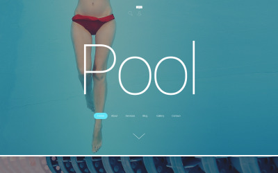 Pool Cleaning №55279