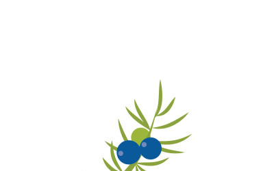 Juniper Berries Botanical Vector Illustration