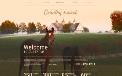 Country Sunset WordPress Teması