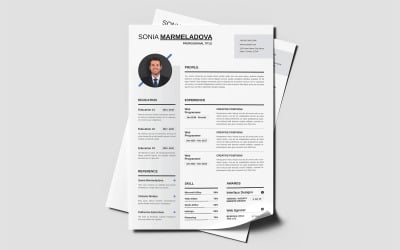 Clean Resume CV Design Template layout