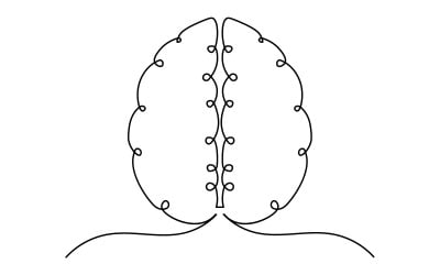 30. Cerebro humano dibujo continuo de una línea sobre fondo blanco