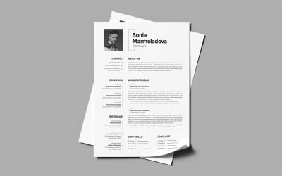 ATS Friendly Resume Template Indesign