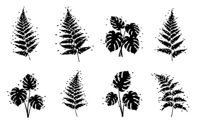 Flat design illustration of tropical fern and monstera leaves with isolated on white background