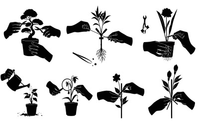 Silhouette of hands performing plant care, , detailed gardening tasks isolated on white background