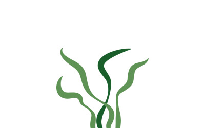 Подводные водоросли спирулина на белом фоне.