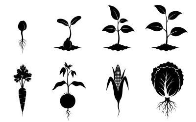 Black silhouette vector illustration of various vegetable plants isolated on white background