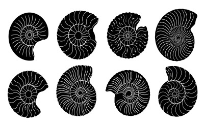 Eight black nautilus shell silhouettes in various orientations vector isolated on white background