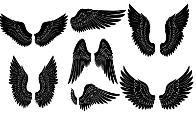 Black silhouette of various wing shapes vector illustration isolated on white background