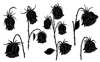 Black silhouette of wilting roses on , vector illustration isolated on white background