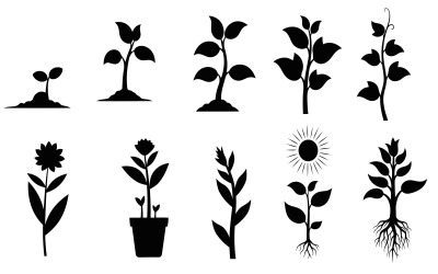 Black silhouette vector illustration of various plant growth stages isolated on white background