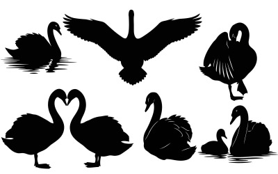 Black swans silhouettes on Vector illustration isolated on white background