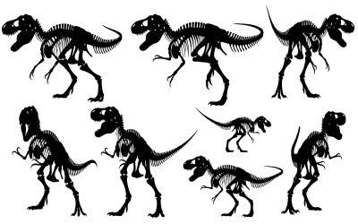 Collection of Tyrannosaurus Rex dinosaur skeletons in various poses isolated on white background