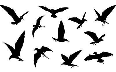 Multiple black bird silhouettes flying isolated on white background