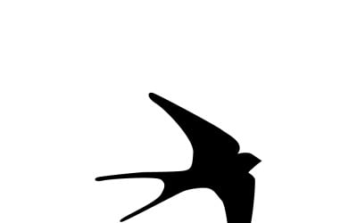 Sylwetka szybującej jaskółki na czystym białym tle