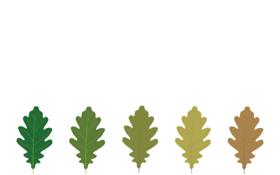 Oak Leaf Seasonal Change Botanical Template Kit