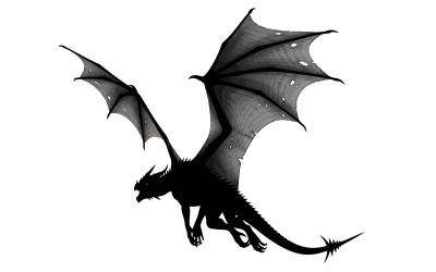 Black dragon silhouette flying isolated on white background