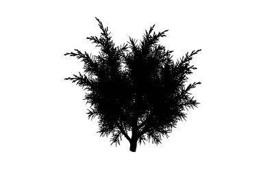 Black silhouette of a tree on a isolated on white background
