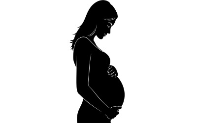 Pregnant woman silhouette profile holding belly isolated on white background