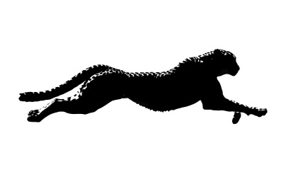 Dynamic black cheetah silhouette sprinting with full fur detail isolated on white background