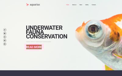 Modelo de site da Aquarius