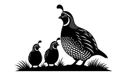 Family of stylized game birds with crests standing in natural grass isolated on white background
