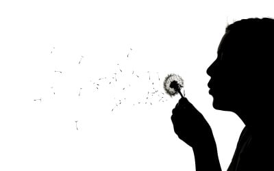 Yumuşak ışık altında, beyaz arka plan üzerinde izole edilmiş bir şekilde, bir çocuk rüzgara karahindiba tohumları bırakıyor.