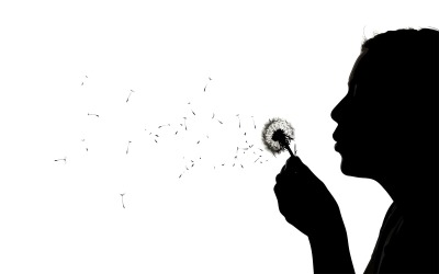 Enfant semant des graines de pissenlit au vent dans une douce lumière, isolé sur fond blanc